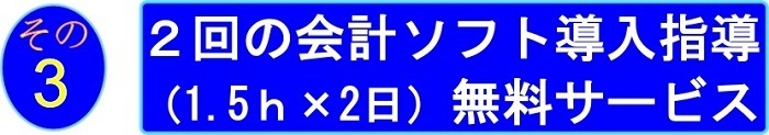 会計ソフト導入支援.jpg